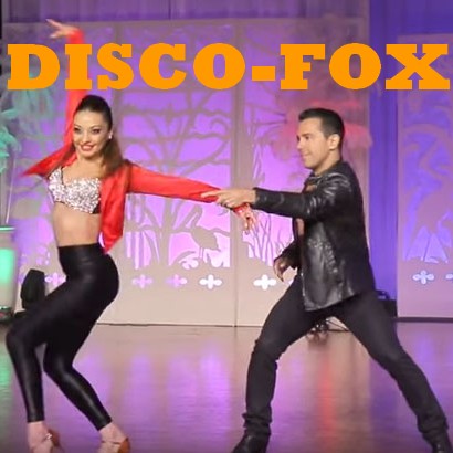 Découverte du Disco-Fox